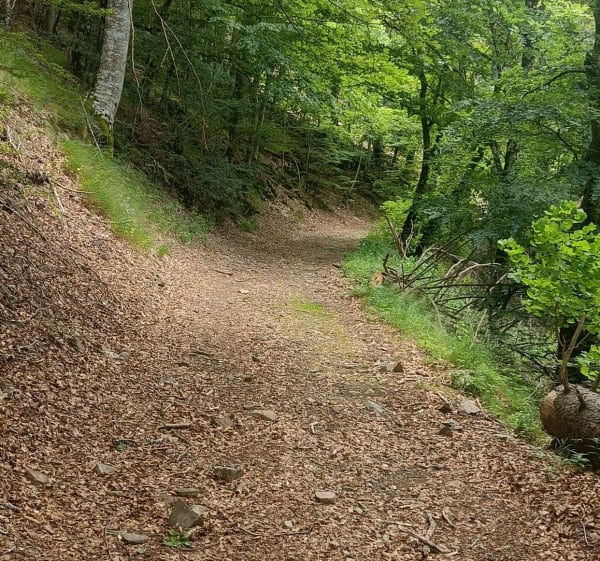 Boucle autour du col Salidès - Bassurels - 1