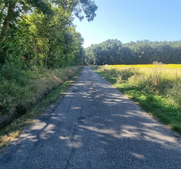 Grand Tour de Saint-Clar-de-Rivière par Castelcaillou - Saint-Clar-de-Rivière - 1