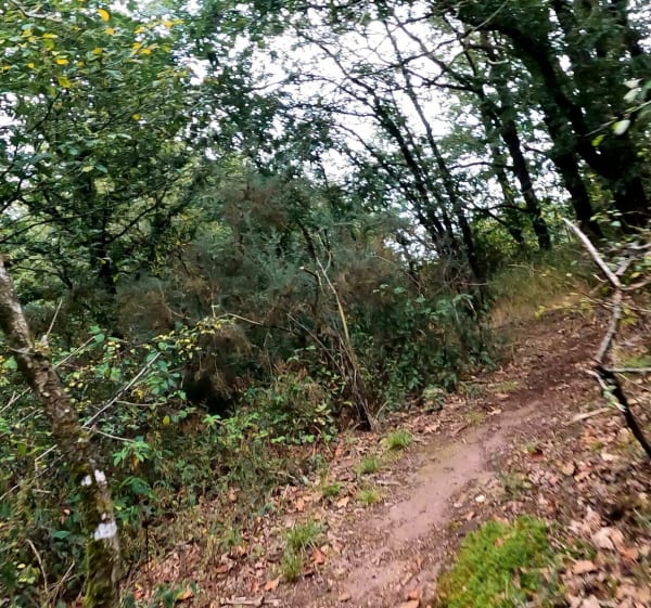Treffendel - Treffendel - 1