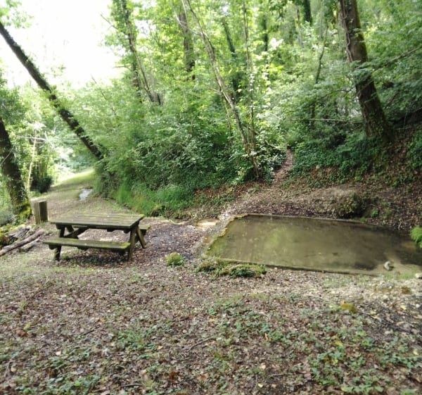 Petite randonnée des sources - Douzillac - 1