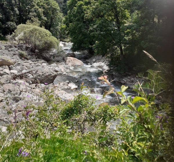 Boucle de Montgros ALLOS - Allos - 1