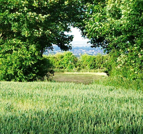 Balade de fin de weekend depuis Aix-Noulette - Aix-Noulette - 1