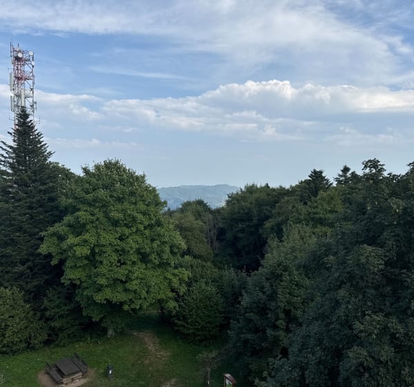 Le parcours pédagogique du Mont Saint-Rigaud - Propières - 1