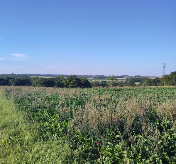 Tour de Vaux en Amiénois - Vaux-en-Amiénois - 1