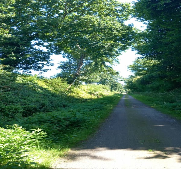 Voie verte Vire-Mortain - Vire-Normandie - 1