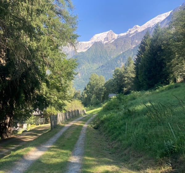 Boucle au dessus du village des Houches via le col de Voza - Les Houches - 1