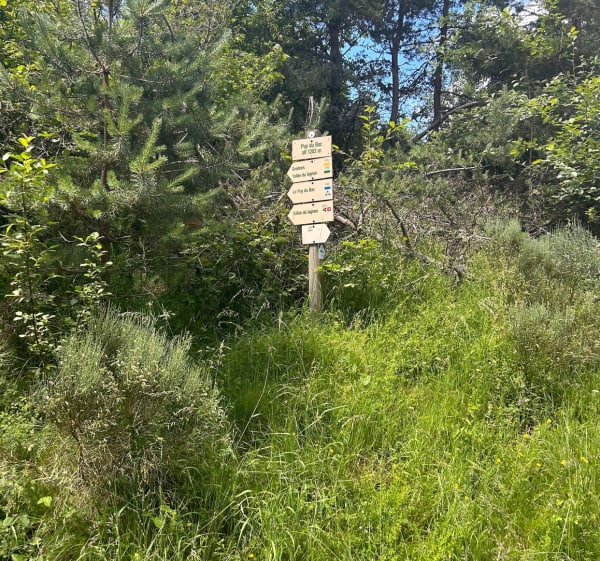 boucle Albepierre, Puy du Bac, Albepierre - Albepierre-Bredons - 1