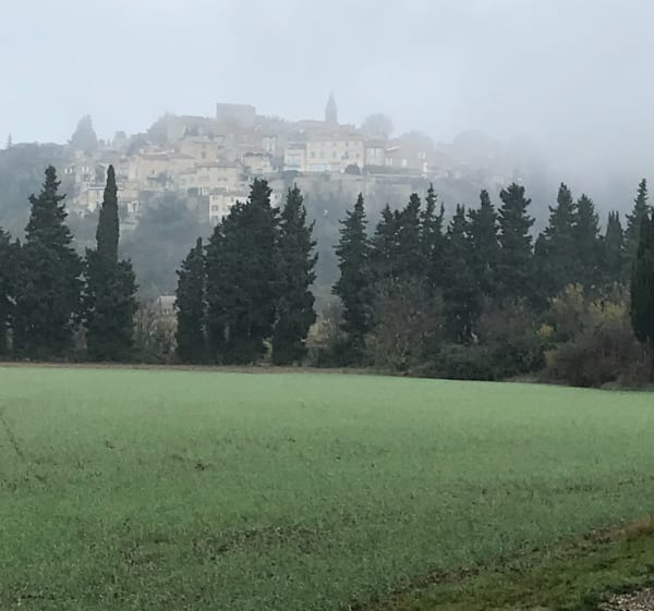 La plaine des Angles - Les Angles - 1