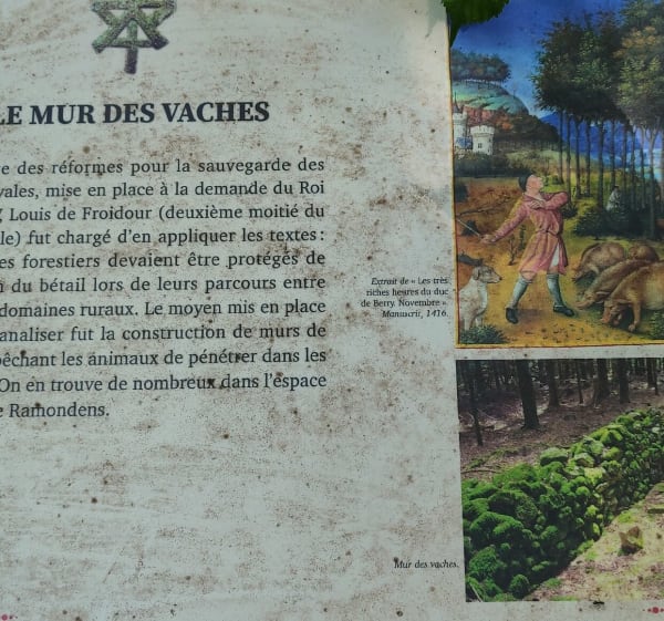 Un petit tour au Lampy - Saissac - 1