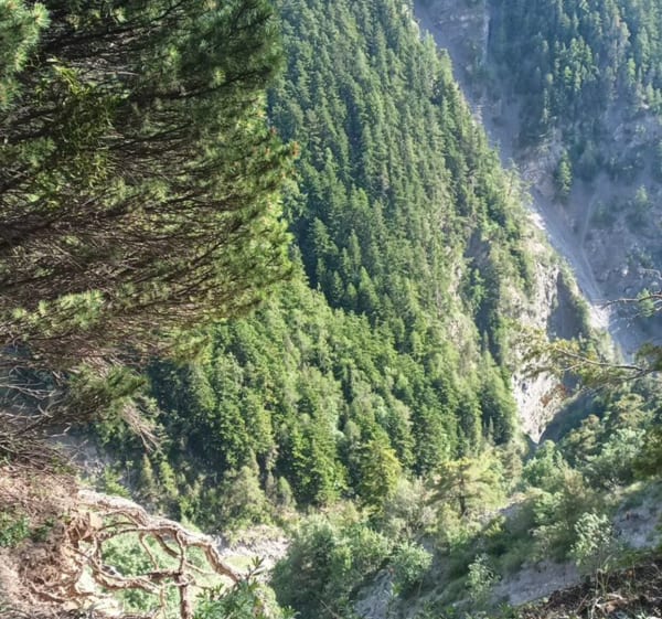 Le mystérieux chemin du bâtard - Saint-André-d'Embrun - 1