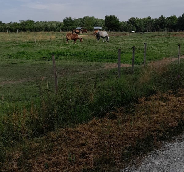 Méric pistes forestières - Saint-Yzan-de-Soudiac - 1