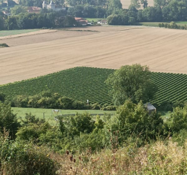 Petite balade depuis Haillicourt - Haillicourt - 1