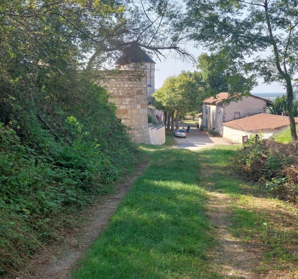Boucle autour du château de Treffort. - Val-Revermont - 1