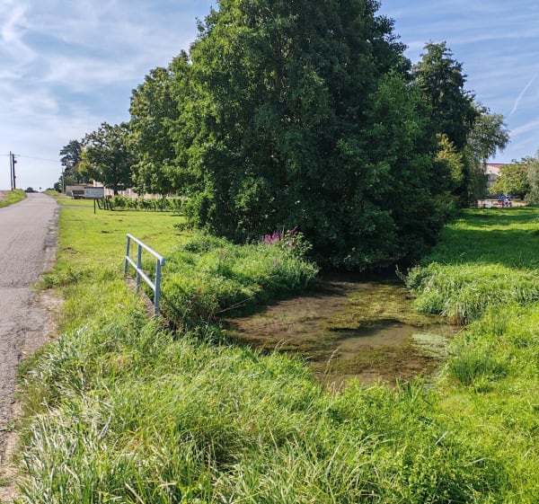 Balade entre Amillis et Coulommiers - Amillis - 1