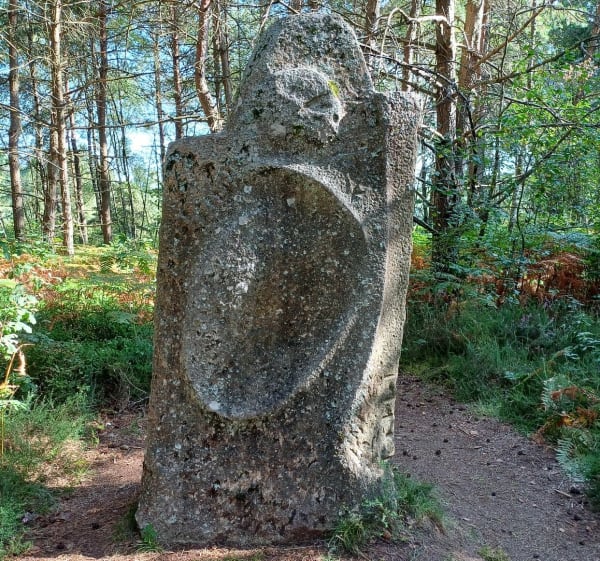 Autour du bois de Crozat - Royère-de-Vassivière - 1