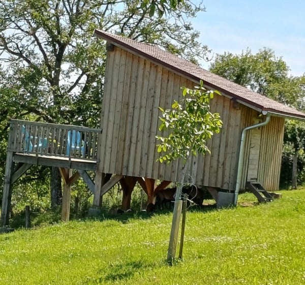 Randonnée Ville sur Illon 88 - Ville-sur-Illon - 1