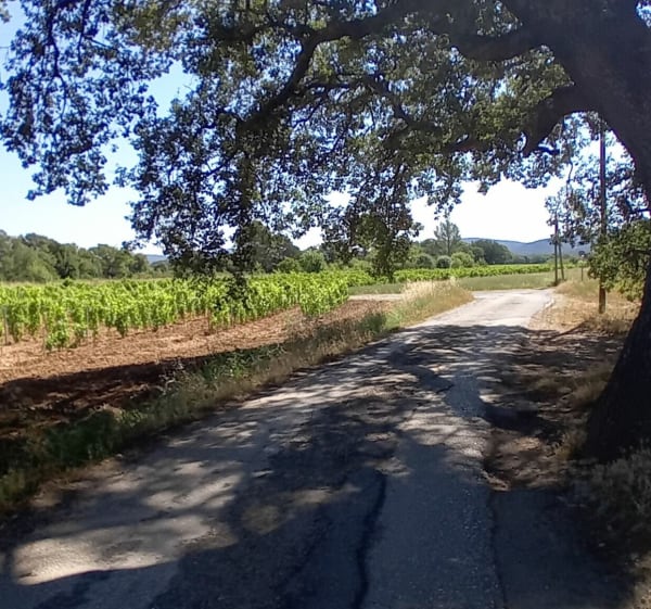 Néoules entre village et campagne - Néoules - 1