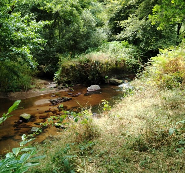 Randonnée à Gaudin - Saint-Brandan - 1
