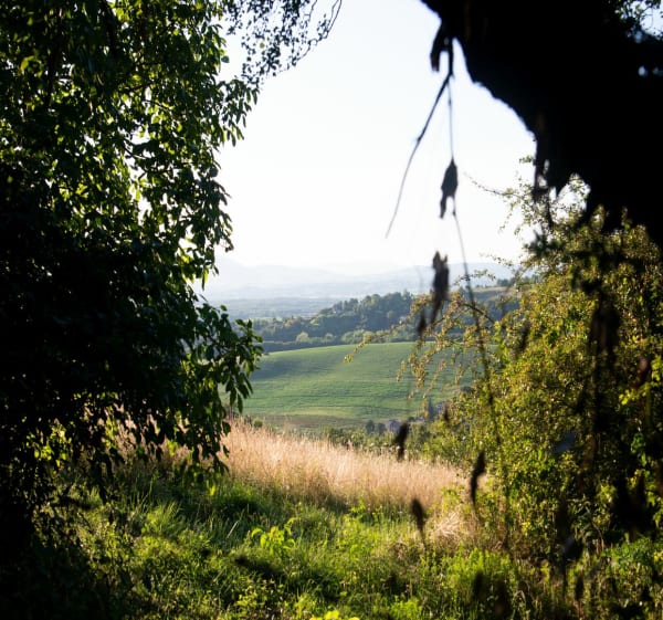 Promenade champêtre sur les hauteurs de Saint Romain de Suri - Saint-Romain-de-Surieu - 1