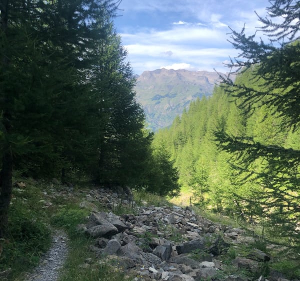 De Archinard à la bergerie de Rouanette - Orcières - 1