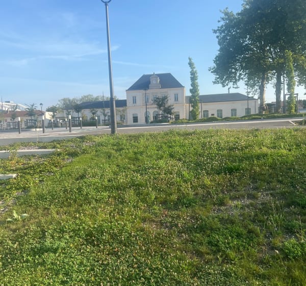 De grote lus van Saint-Dizier - Saint-Dizier - 1