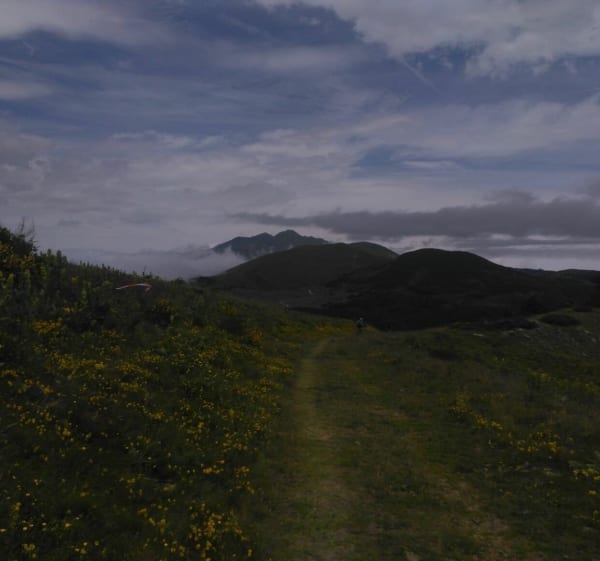 Promenade dans les pistes à Labrit - Elodie - 1