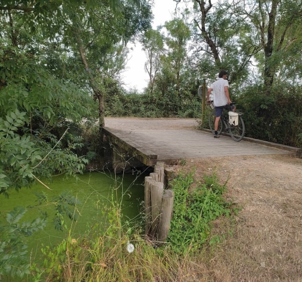 Du marais de Longeville aux viviers de la Guittière - Longeville-sur-Mer - 1