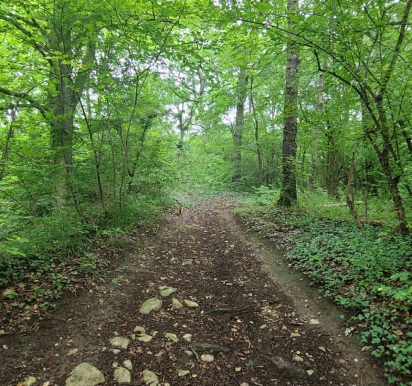 Randonnée en forêt de Carnelle - Presles - 1