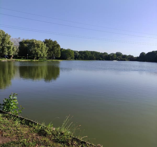 Courrières et Marais d'Annay - Courrières - 1