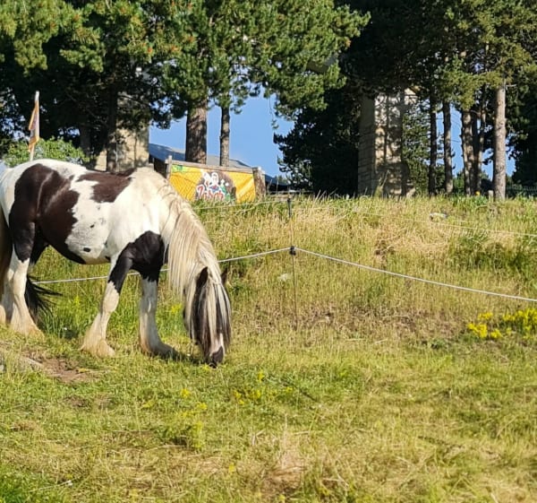 Boucle  Font Romeu, Estany del Tico. - Bolquère - 1