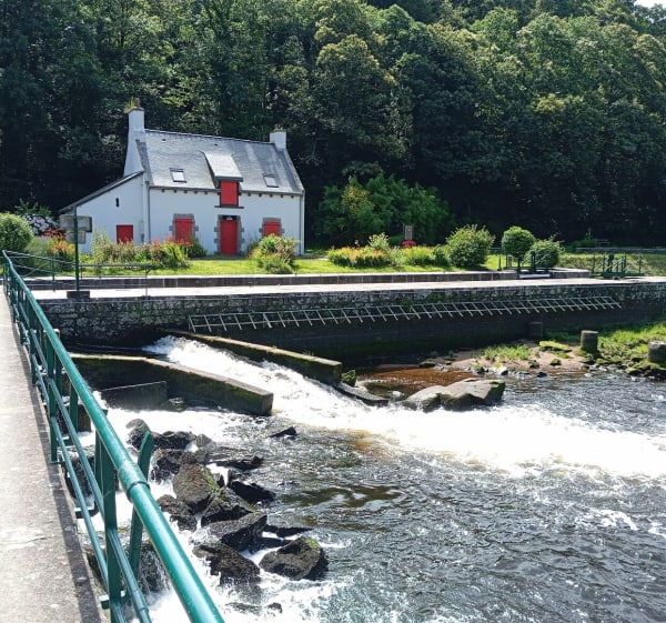 Blavet et forêts - Hennebont - 1