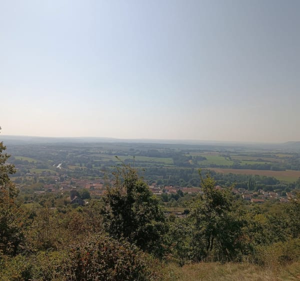 Autour du Plateau d'Écrouves par le Bois de Mortemoselle - Écrouves - 1