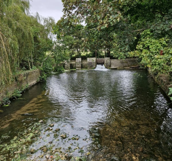 Promenade autour de l'Aure, depuis Argouges - Bayeux - 1