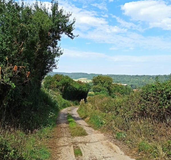 Boucle depuis Vaudringhem avec 80% de chemins - Vaudringhem - 1