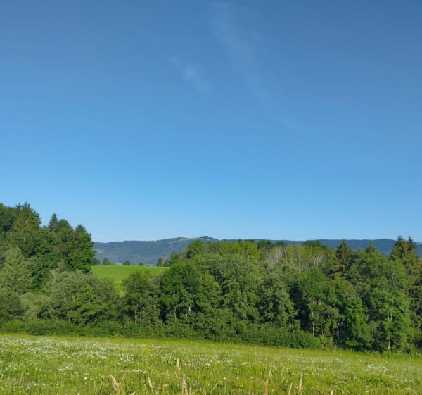 Boucle du plateau des Bornes passage par chez Trosset - Menthonnex-en-Bornes - 1