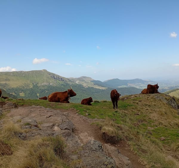 La brèche de Rolland du Puy Mary - Le Claux - 1