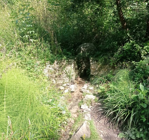 Balade autour du château de la chasse - Montlignon - 1