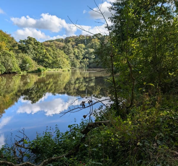Balade entre marais de Trestel et étang - Trévou-Tréguignec - 1