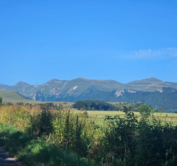 Forêt des Courbanges depuis Saint-Victor-la-Rivière - Saint-Victor-la-Rivière - 1