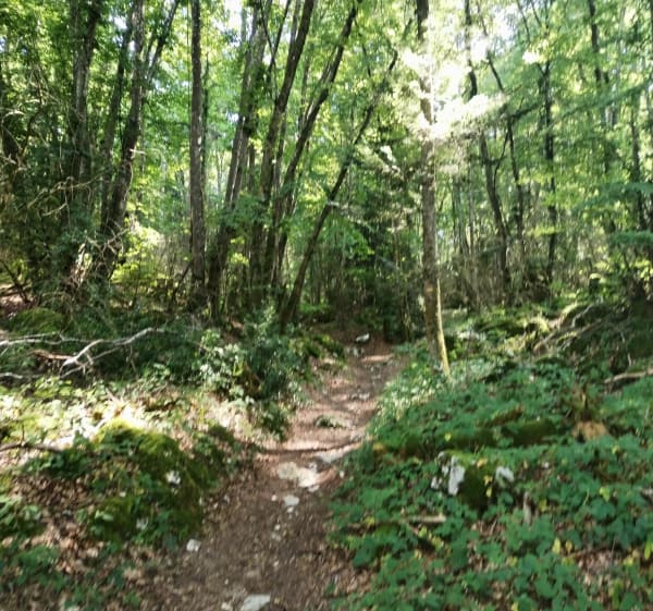 Balade au Rocher de la Garde - Saint-Aupre - 1