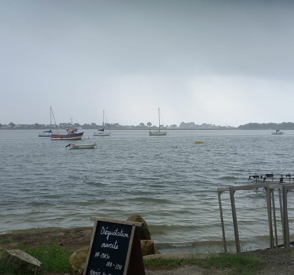 Promenade au Tour-du-Parc - Sarzeau - 1