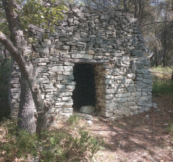 Velleron, balade en forêt et Grande Vaussière - Velleron - 1