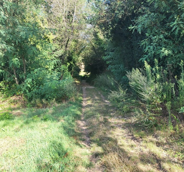 Autour de BONNEFAMILLE - Bonnefamille - 1