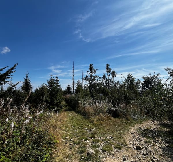 Biegowo na Średni Groń - Tylmanowa - 1