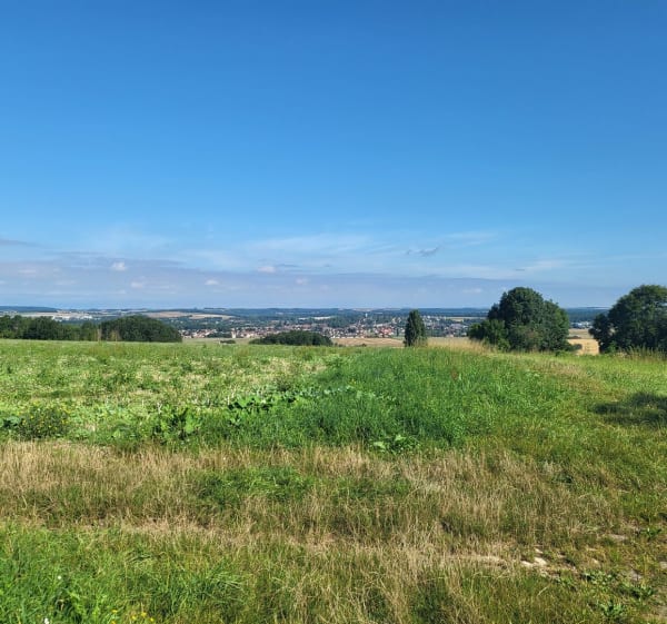 Atour de Saint-Fiacre par Brinches et Villemareuil - Saint-Fiacre - 1