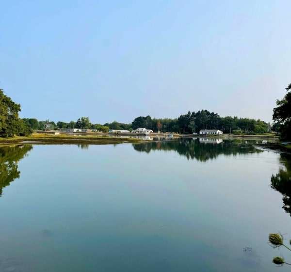 La ria d'Etel, entre sous-bois et bras de mer - Locoal-Mendon - 1