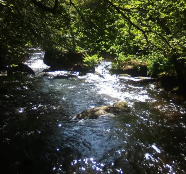 St Julien - site de Corot - Saint-Junien - 1