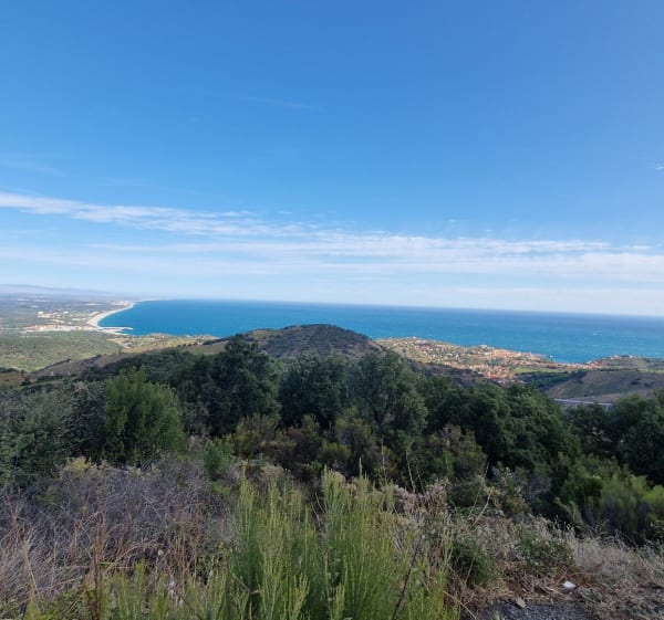 Valmy vue sur Collioure - Argelès-sur-Mer - 1
