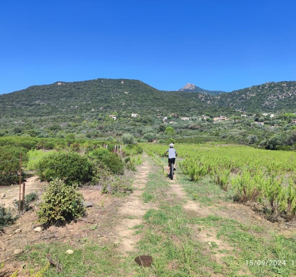 Figari, Poggiole et San Gavino à VTT - Figari - 1