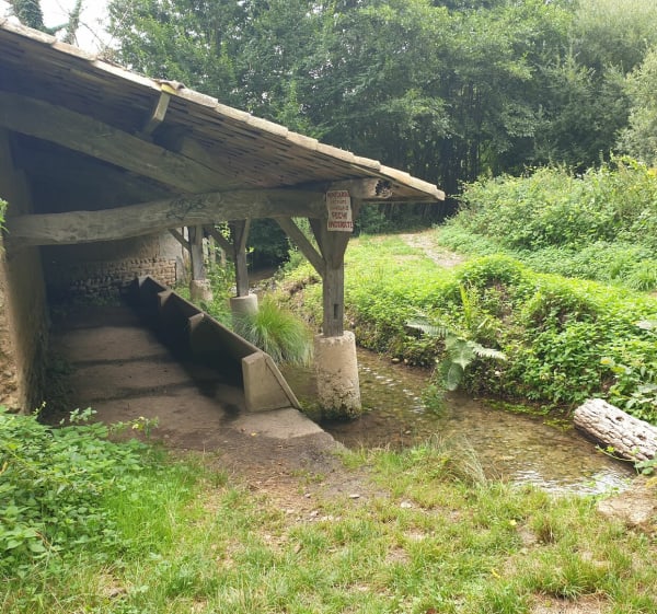 L'étang de Gole via Le Grand Bois - Rochetoirin - 1